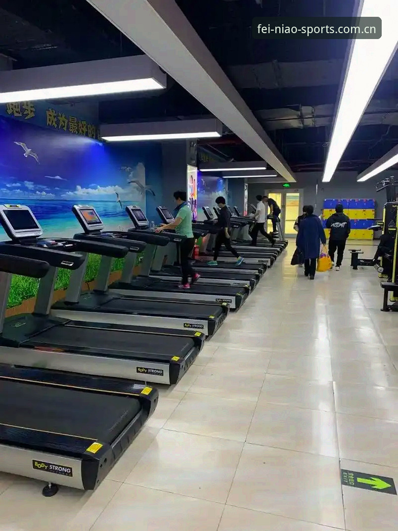 小鸟体育数据分析安装失败？实战派三步排查与修复实用技巧
