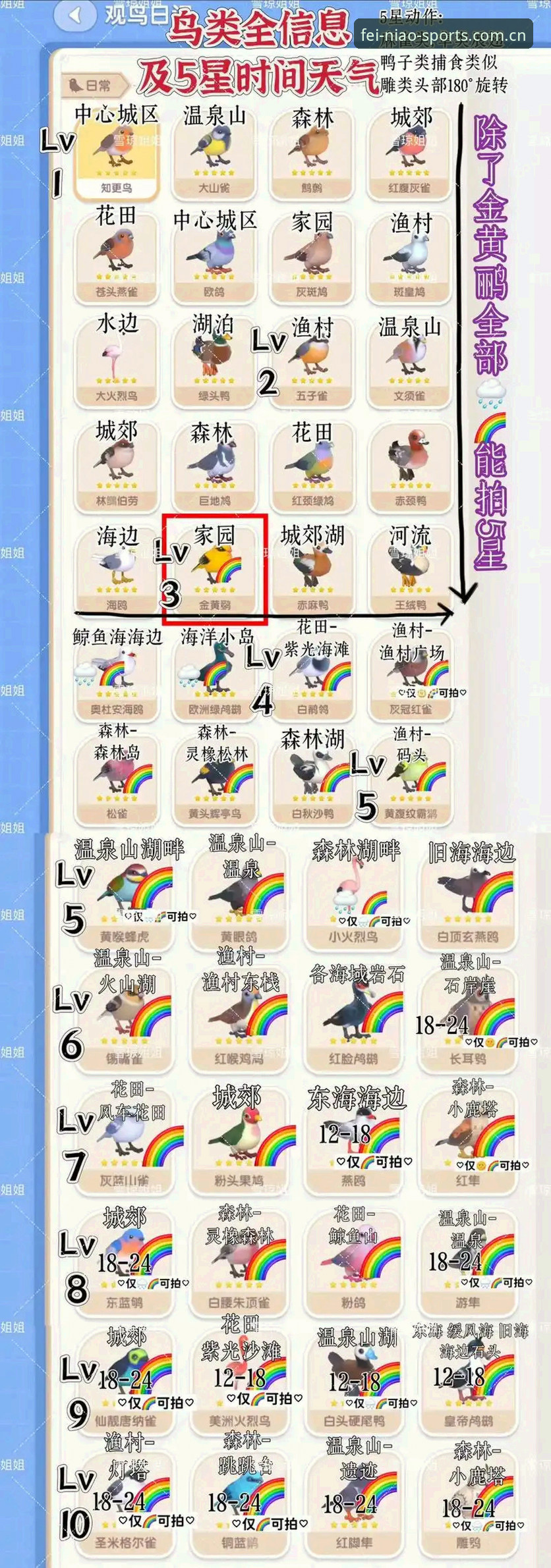 掌握小鸟体育官方版2026最新版本的实用技巧，提升赛事观赛体验