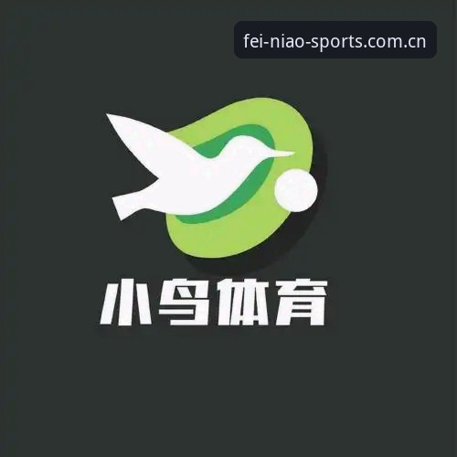 小鸟体育官方下载最新版与旧版本全面对比：哪个版本更适合你的观赛需求？